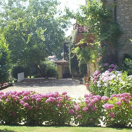 Guest house El Pomar Novales