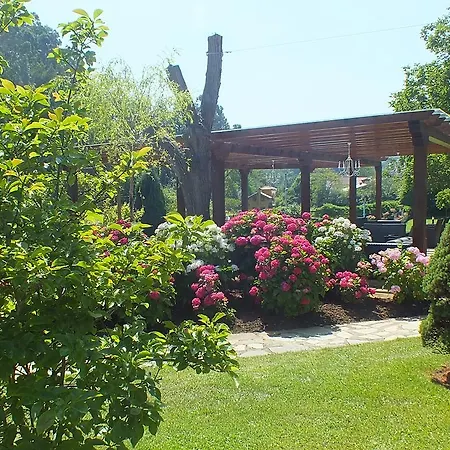 Guest house El Pomar 2*