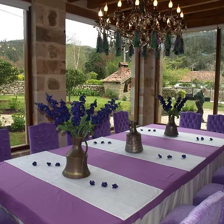 El Pomar 诺瓦莱斯